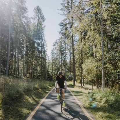 Cycling in Lana and Environs