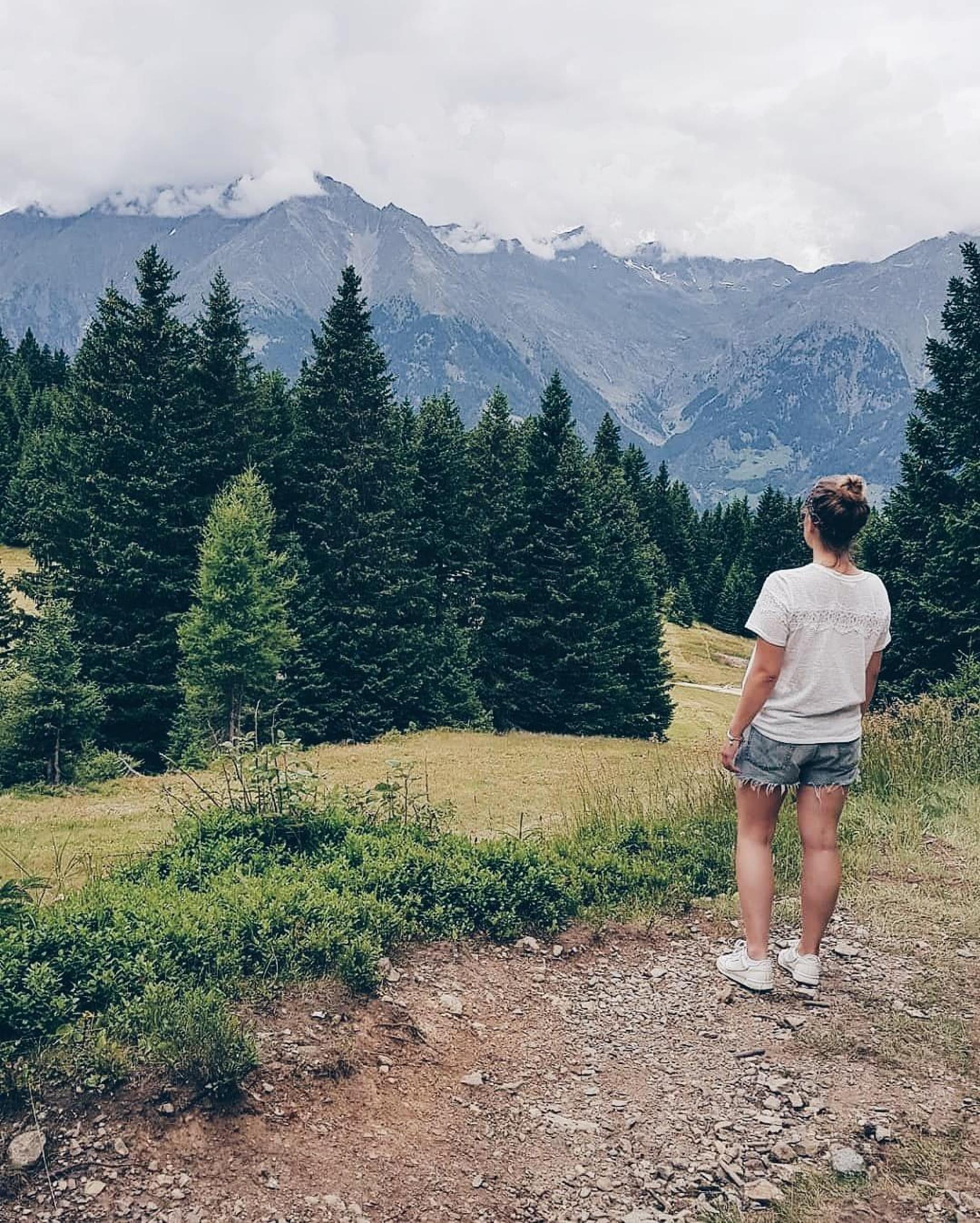 jill-rosewick-aussicht-wald-berge