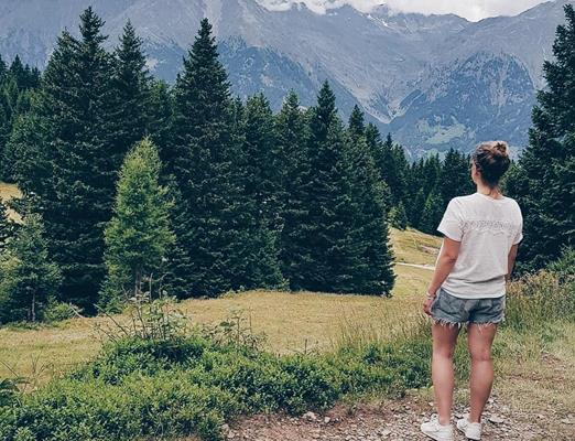 jill-rosewick-aussicht-wald-berge