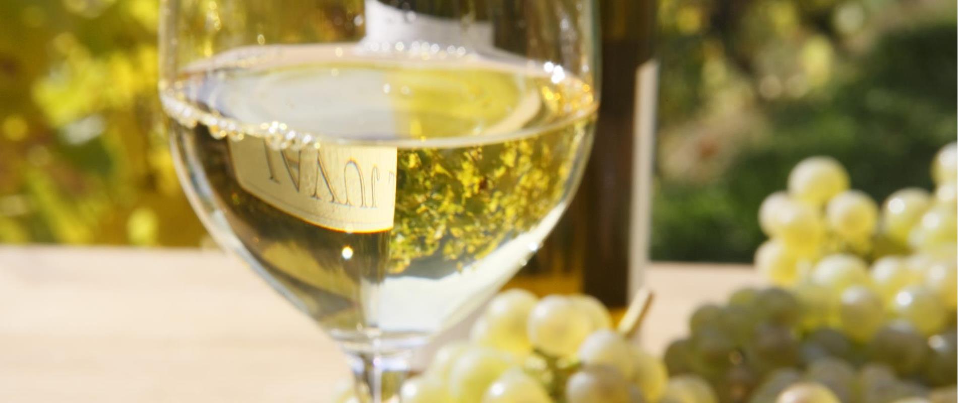 Weinanbaugebiete in Lana und Umgebung