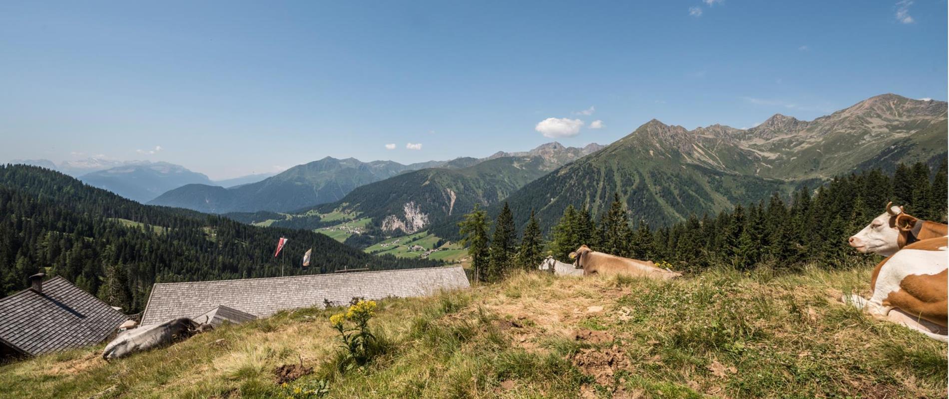 Maddalene SkyMarathon am Deutschnonsberg in Meran und Umgebung