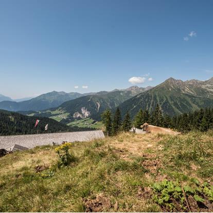 La Maddalene SkyMarathon in Alta Val di Non nel meranese