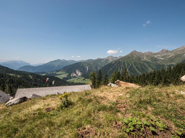 La Maddalene SkyMarathon in Alta Val di Non nel meranese