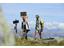 Hiking-Hiking-area-Avelengo-Verano-Merano2000-lm