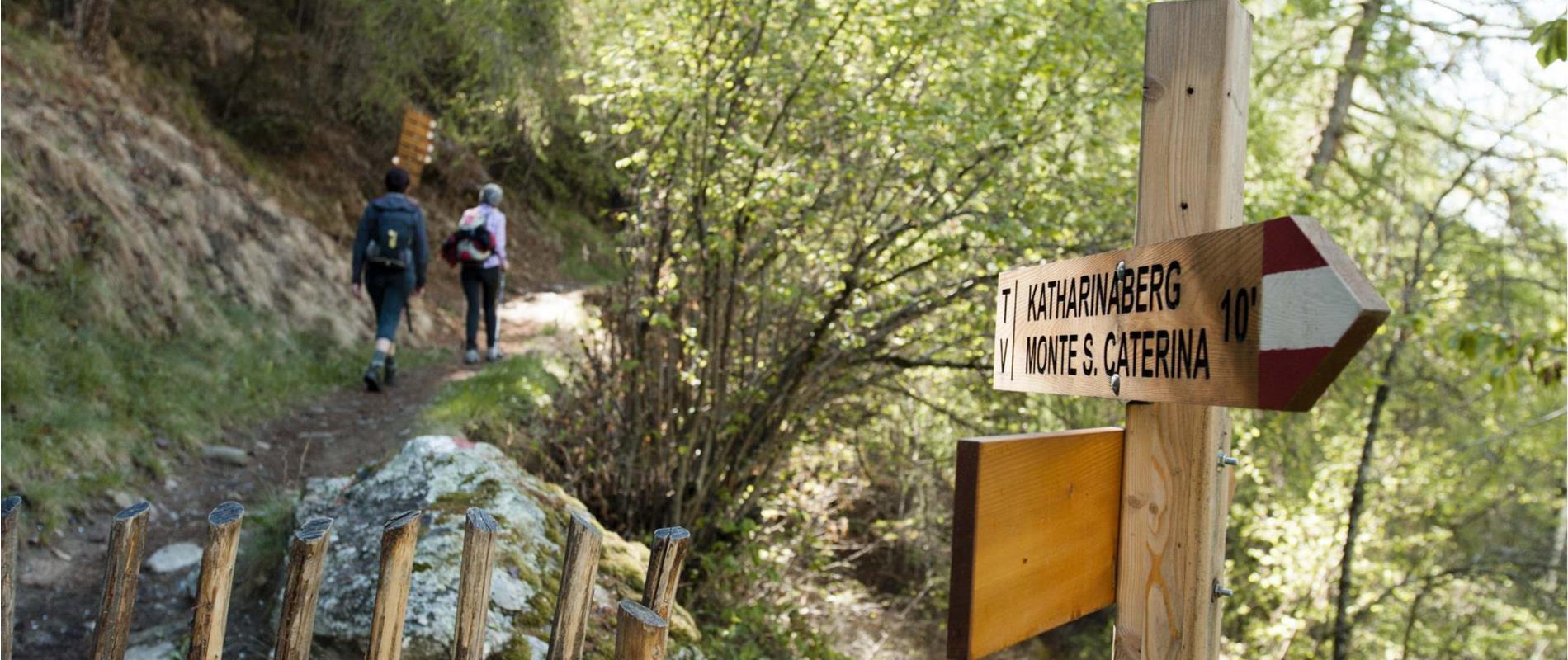 Gli itinerari escursionistici in Val Senales
