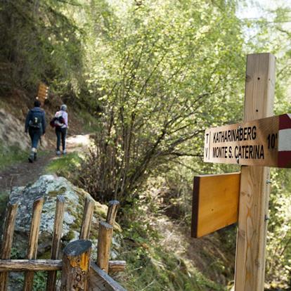 Gli itinerari escursionistici in Val Senales