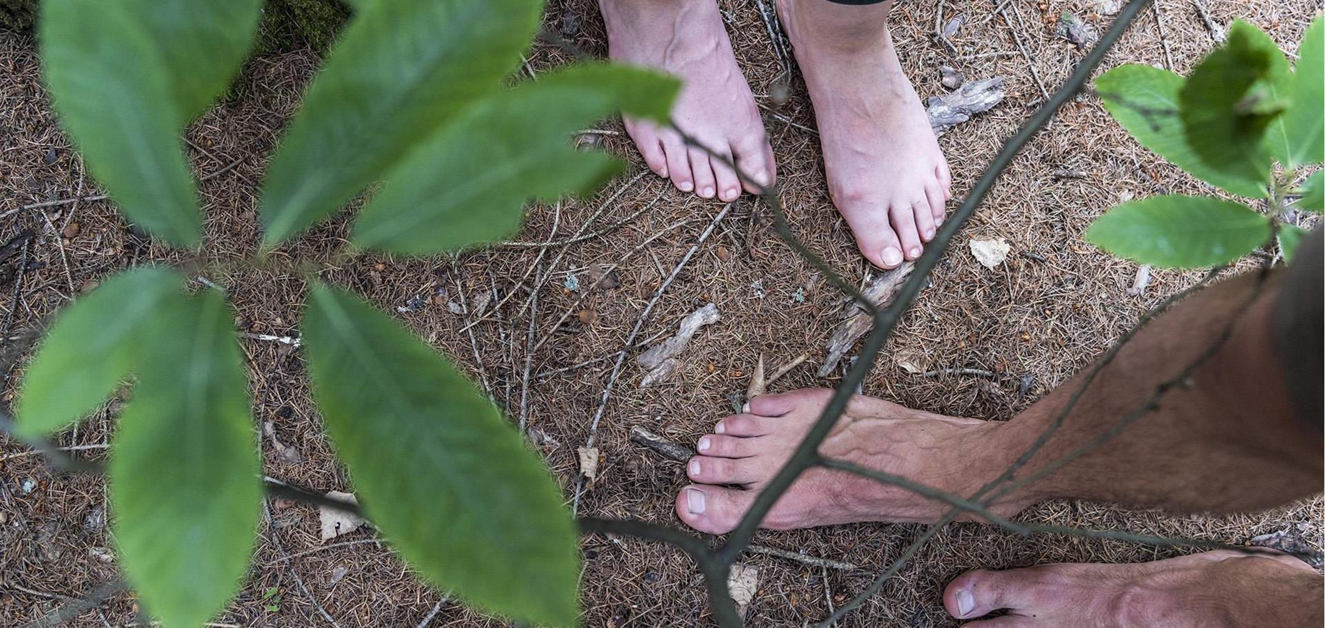 Tausche Handy gegen Wald