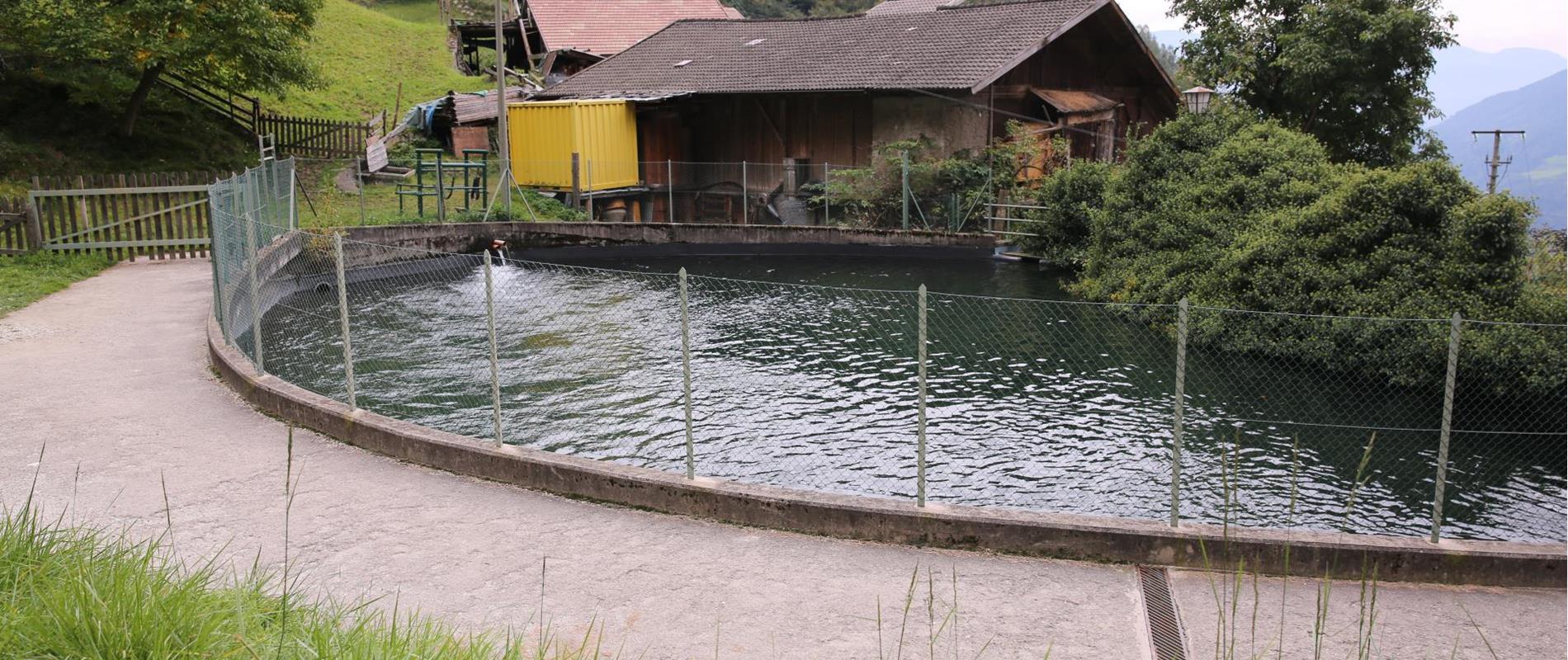 Hydro-Electricity Power Plant Wasserfall