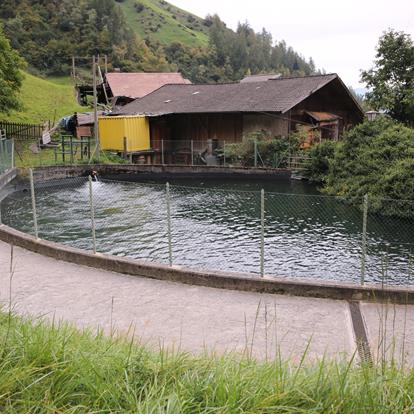 Hydro-Electricity Power Plant Wasserfall