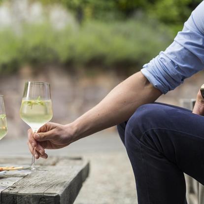 Le cantine vinicole a Merano e dintorni