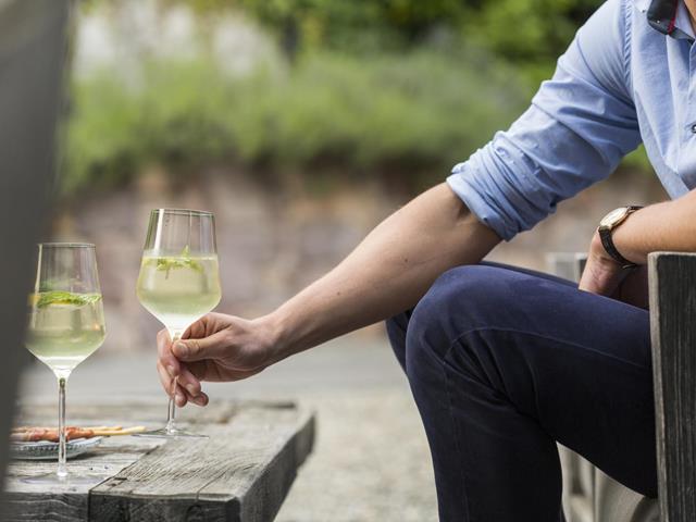 Le cantine vinicole a Merano e dintorni