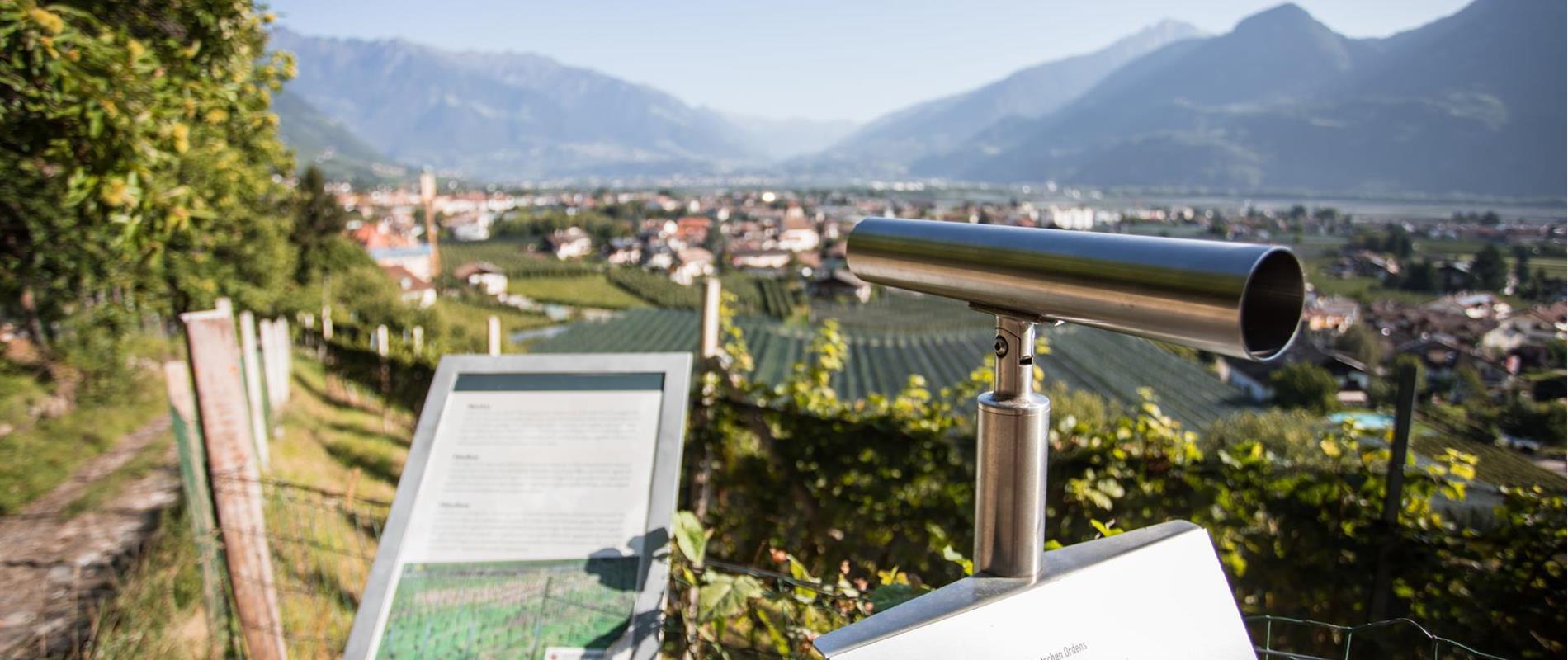 Public Telescopes in Lana and Environs