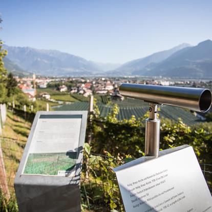 Public Telescopes in Lana and Environs