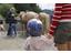 Horse-Riding-offers-for-children-Avelengo-Verano-Merano2000-fb