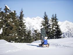 Sledding in Lana and Environs