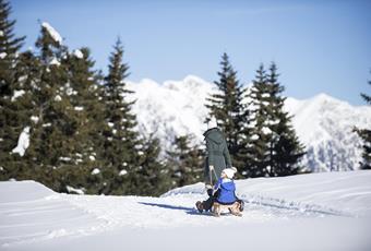 Sledding