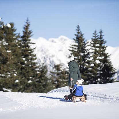 Sledding in Lana and Environs