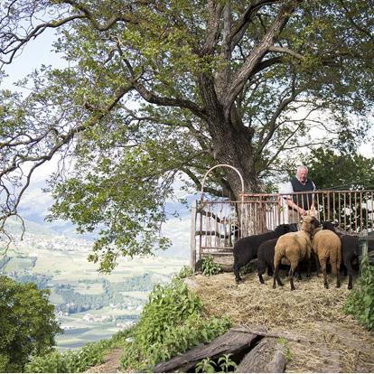 Echte Qualität am Berg