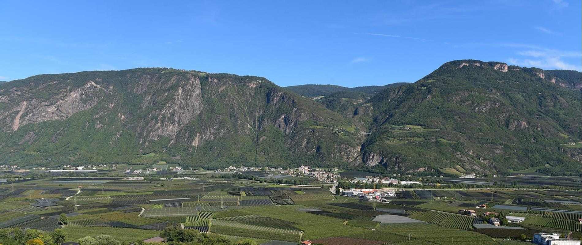 Vorteilskarten in Nals