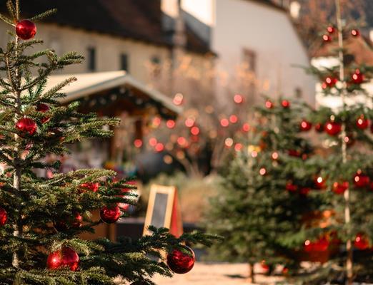 weihnachten-psch-11[2]