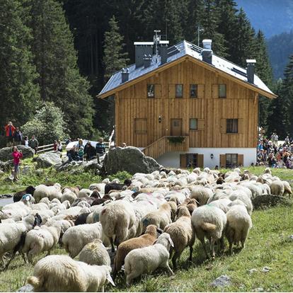 Mountain hut trekking on the Merano High Mountain Trail