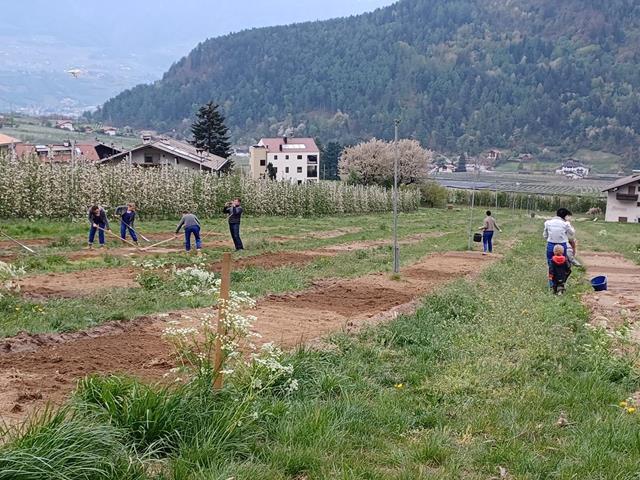 projekt-wildblumenwiese-puitwies-tv-partschins-2022-april-62