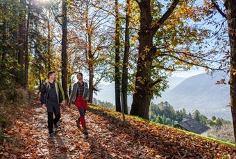 Wandern