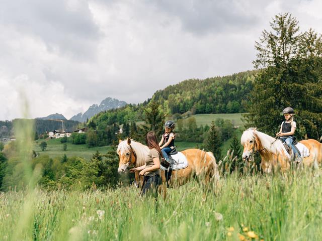 -tv-hafling-voeran-meran-2000-benjamin-pfitscher-2023-sommer-reiten-35