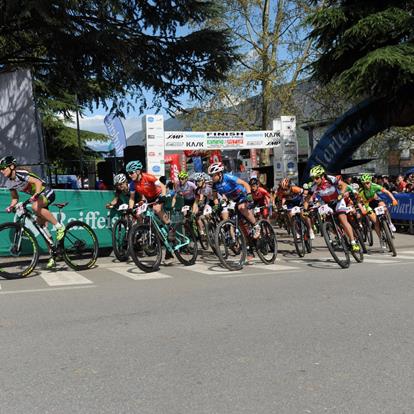 Championship mountain biking race