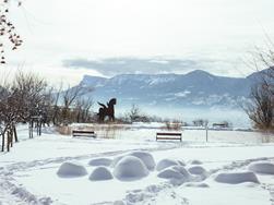 Wilt u meer te weten komen over de plaatselijke fauna van Zuid-Tirol?