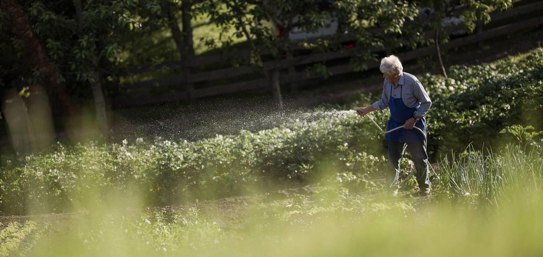 Congratulazioni all’Hotel Oberwirt a Verano