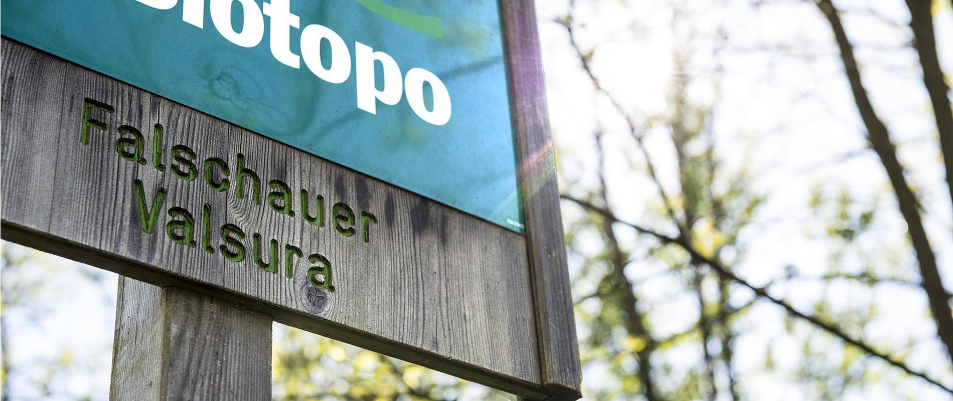 Biotoop Falschauer in Lana