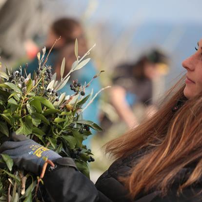 Die Tradition Palmbuschnbindn vor Palmsonntag