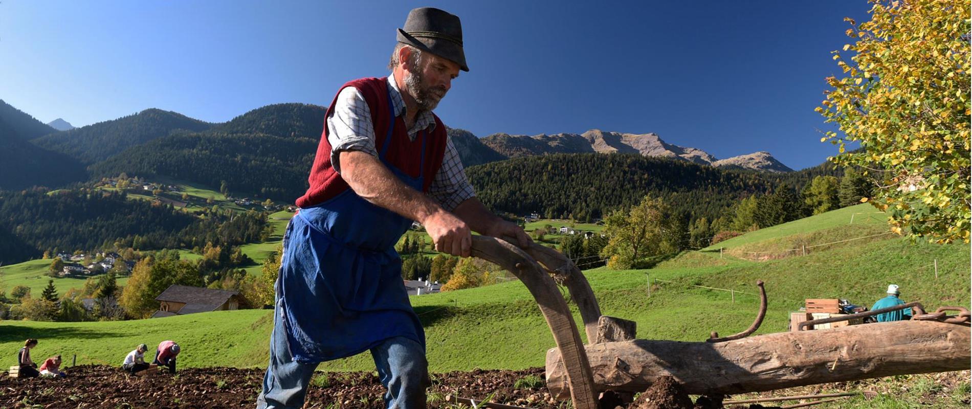 Real Quality in the Mountains in South Tyrol
