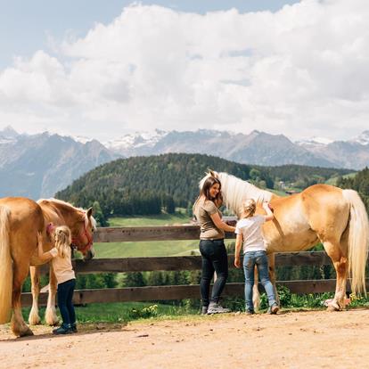 Vakantie op de boerderij