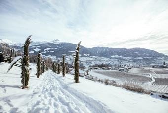 Winterwandelen