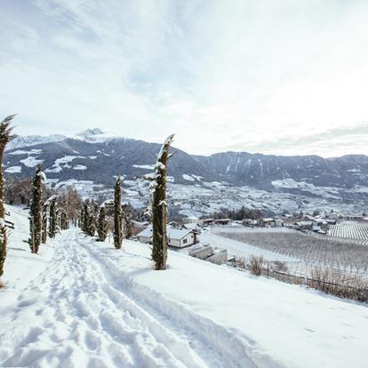Escursioni invernali a Tirolo