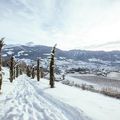 Winterwandern in Dorf Tirol