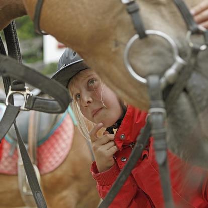 Paardrijvakanties in Hafling en Meran 2000