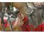 Horse-riding-Riding-holidays-Avelengo-Verano-Merano2000-fb