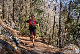 Sunny Mountain Trail