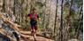 Sunny Mountain Trail