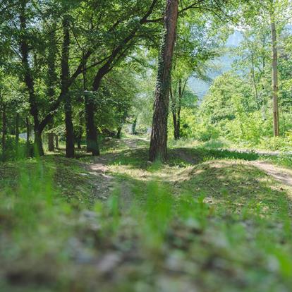 Acqua di sorgente di Nalles e gestione sostenibile dei rifiuti