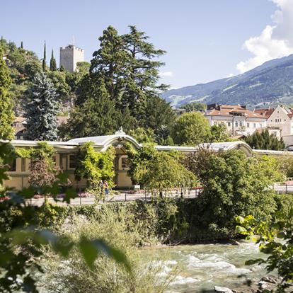 Giornate meranesi dell'albero