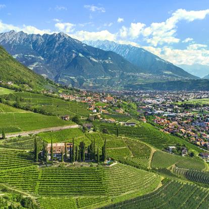 header-marling-sommer-staschitz