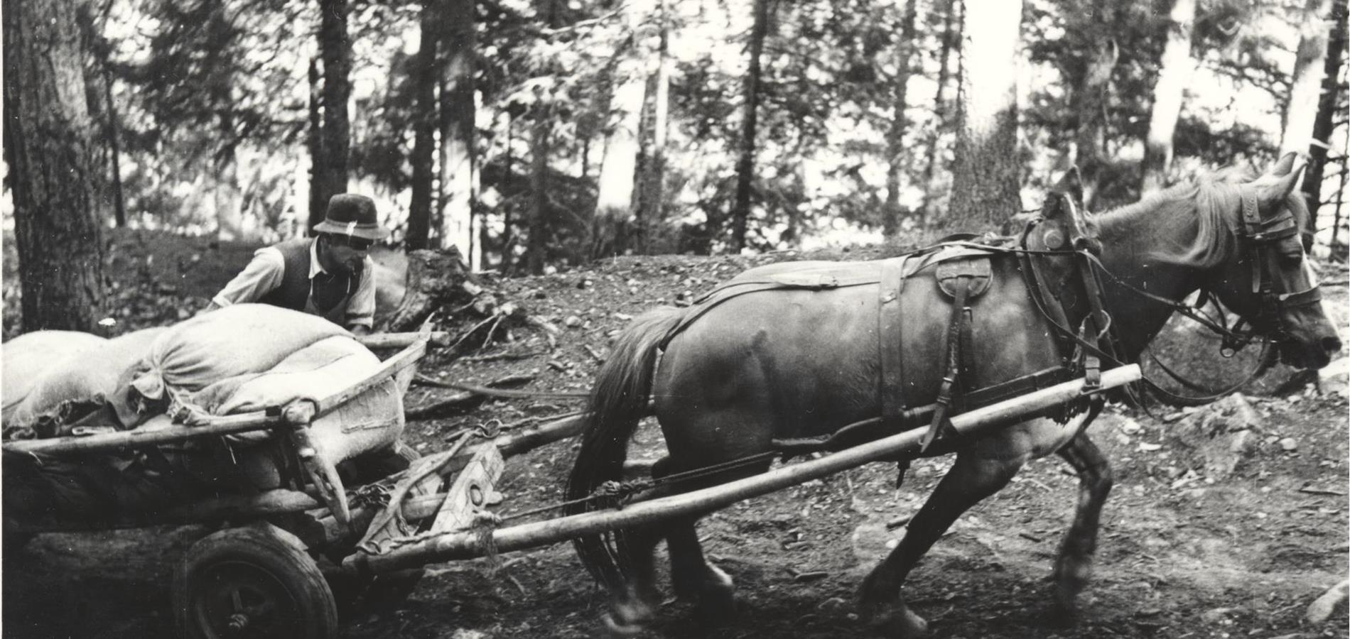 A long way: the history of transport in Hafling