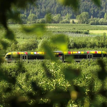 Arrivare a Scena in treno