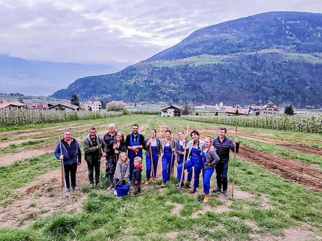 projekt-wildblumenwiese-tourismusverein-partschins-florian-tappepiner-9