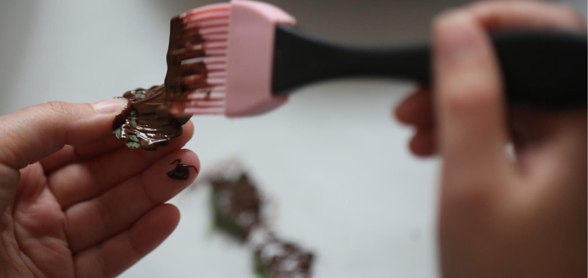 Chocolate-covered ground ivy in dark chocolate cream