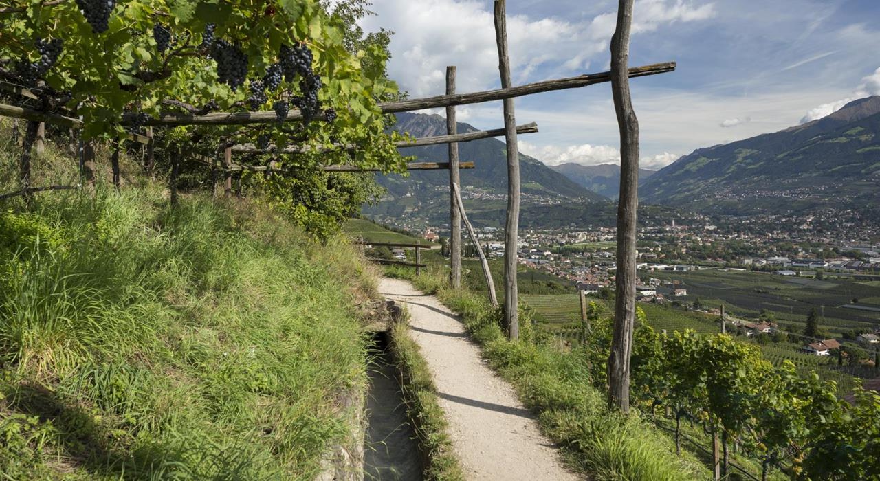 Aktiv-Marlinger Waalweg Ausblick-Marling-dp